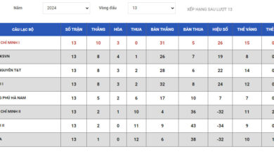 Bảng Xếp Hạng Giải Bóng Đá Vô Địch Quốc Gia Việt Nam Cập Nhật Mới Nhất