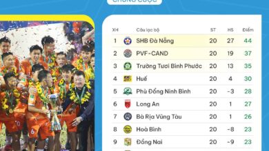 Thứ hạng chung cuộc của V league 2