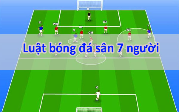 Luật Bóng Đá 7 Người: Những Điều Cơ Bản