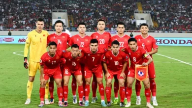 Thứ Hạng Của Đội Tuyển Bóng Đá Quốc Gia Việt Nam Trên BXH FIFA Tháng 3/2024