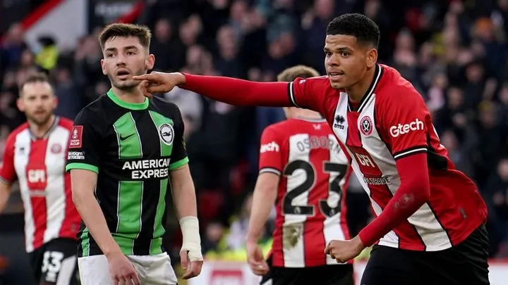 sheff utd đấu với brighton