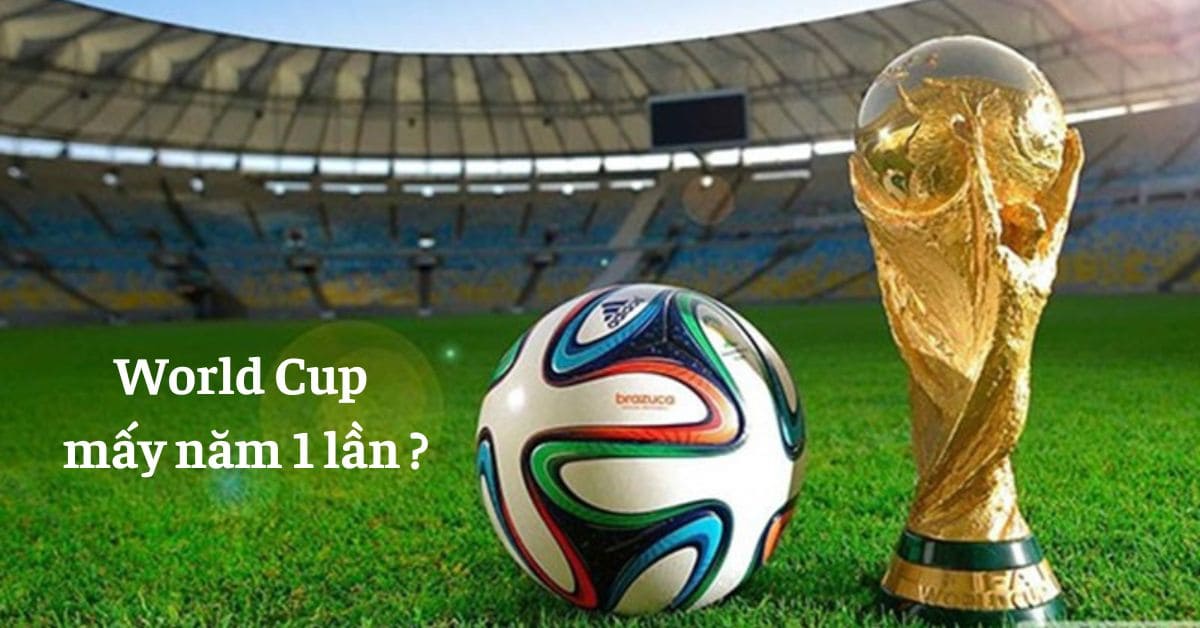 World Cup mấy năm 1 lần